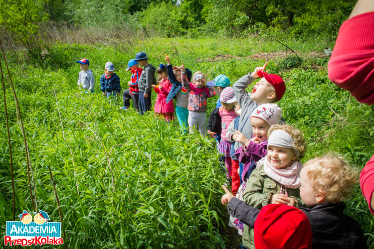 Dzieci na zielonek łące obserwują przyrodę.