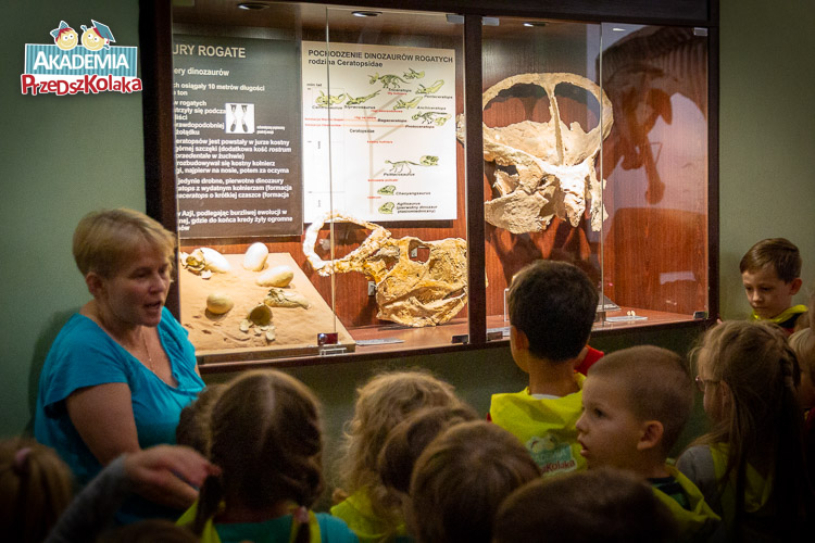 Gablota w muzeum. W środku leża czaszki, szkielety i kości dinozaurów. Są tablice informacyjne i opisy.