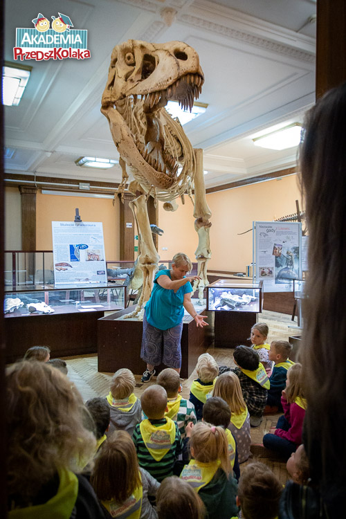 Zdjęcie przodu szkieletu wielkiego tyranozaura lub innego podobnego drapieżnika. Przed nim stoi pani przewodnik prezentująca zasady działania szczęk tego dinozaura. Wyciągnęła przed siebie ręce i symuluje kłapanie.