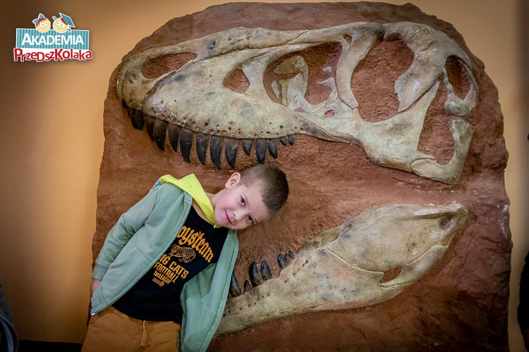 Bardzo podobne zdjęcie za pozował przedszkolak. Na niby wkłada głowę między szczęki skamieniałej głowy dinozaura. Drapieżnika.