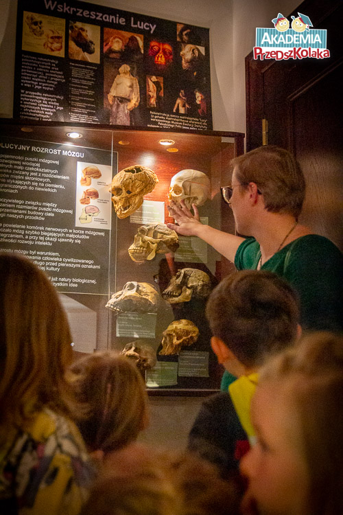 Nauczycielka dotyka wyciągniętą ręką gabloty w której leżą czaszki współczesnych ludzi, ale też w wcześniejszych etapach rozwoju. Widać różnice w kształtach między czaszkami.
