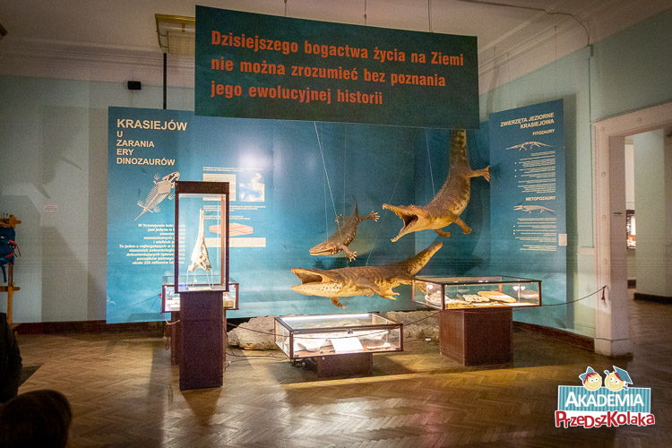 Ekspozycja przedstawiająca drapieżniki wodne z epoki dinozaurów. Gabloty z eksponatami i wielki baner z napisem „Dzisiejszego bogactwa życia na Ziemi nie można zrozumieć bez poznania jego ewolucyjnej historii”