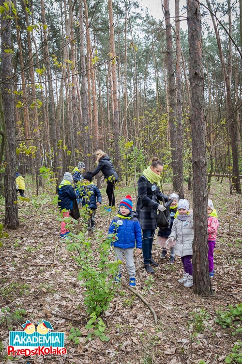 Dzieci razem z ciociami chodzą po lesie i sprzątają.