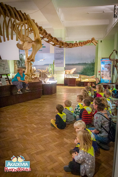 Przedszkolaki całą grupą siedzą na podłodze. Na przeciwko znajduje się podest na którym stoi wielki szkielet dinozaura. Na podeście siedzi pracownica muzeum. Przewodnik opowiada.