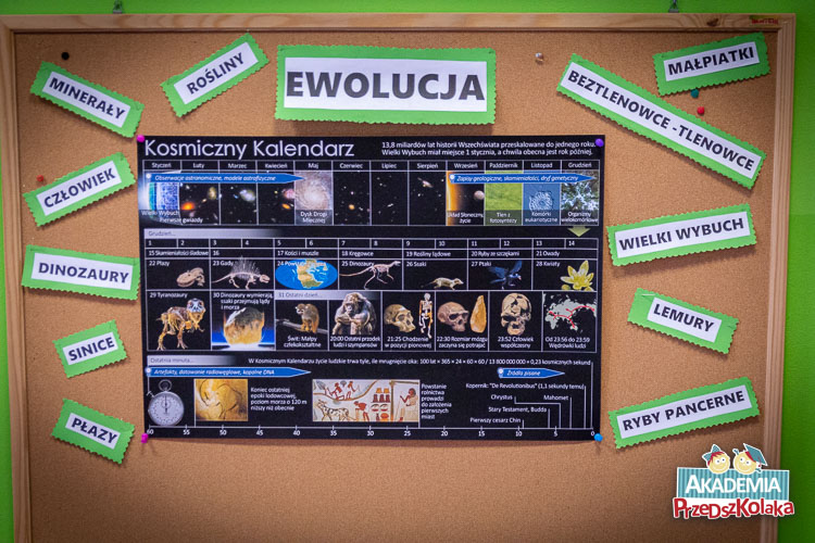 Tablica naukowa wisząca na ścianie przedszkola. Duży napis EWOLUCJA. Na około kartki z różnymi wyrazami związanymi z tematem np. Lemury, dinozaury. Na środku ciemny plakat ilustracjami obrazującymi proces ewolucji.