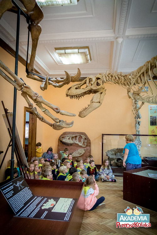 Kolejne ujęcie sali muzealnej. Widać makiety szkieletów drapieżnych dinozaurów. Wielki łeb z rzędami olbrzymich i ostrych zębów. Dzieci siedzą na podłodze pod jednym z takich łbów. Widać gabloty z eksponatami i opisami.